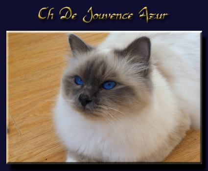 azur fond bleu