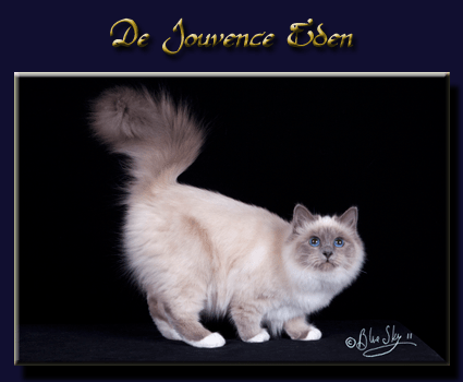 eden1 tous bleu avec&nbsp;nom