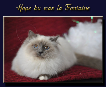 hope du as la fontaine&nbsp;1