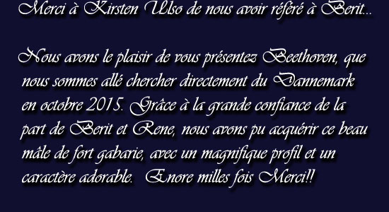 fond bleu beethoven copie 2