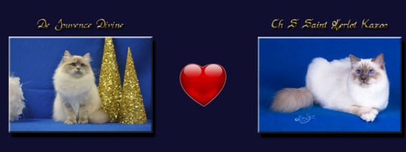 photo mariage divine 2016