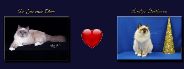 photo mariage eden 2016